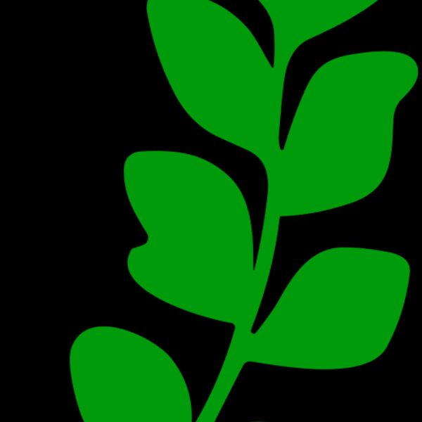 Leaves Thumbnail
