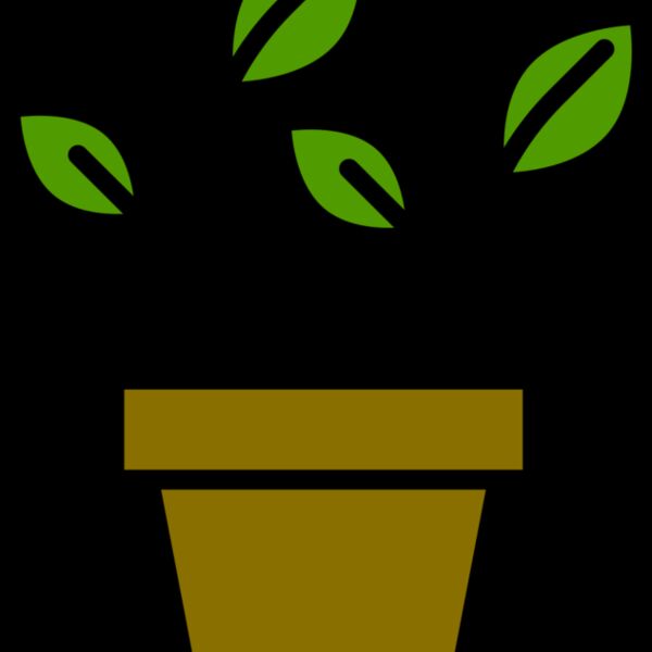 Plant 3 Thumbnail