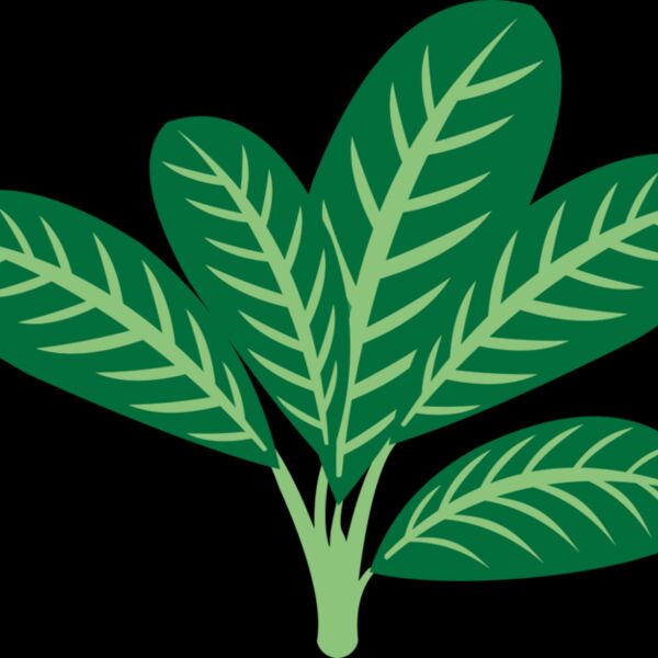 Plants 7 Thumbnail